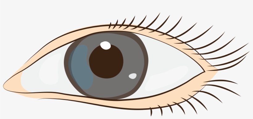 Cute Eyes Clipart - Stye Clipart, transparent png