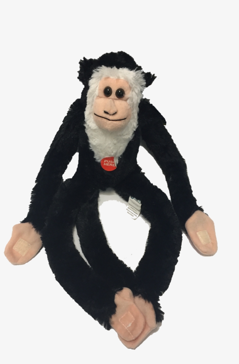 Stuffed Toy, transparent png