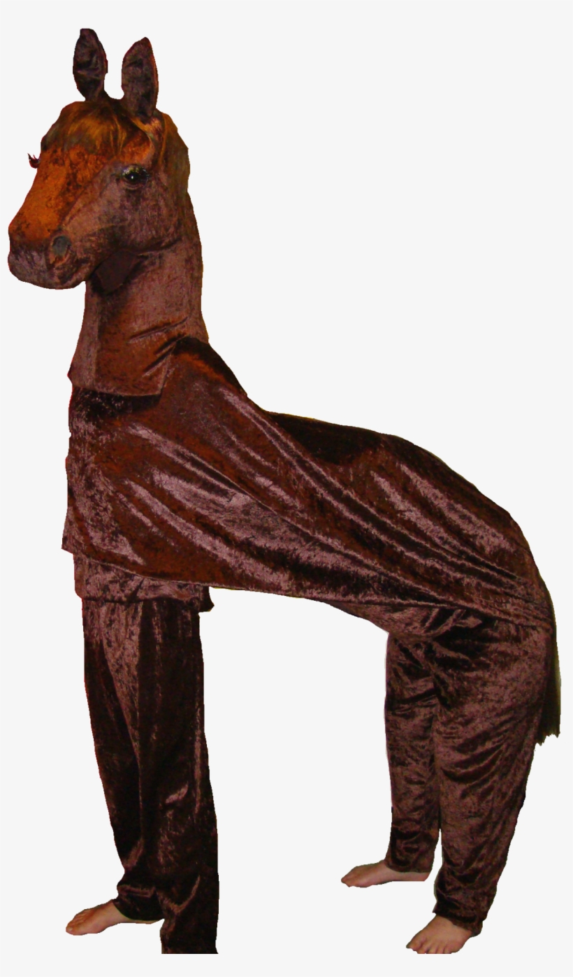 Horse - Okapi, transparent png