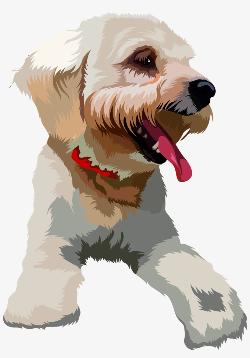 #toypoodle #toypoodlelove #art Dog Artwork, Dog Illustration - Dog Catches Something, transparent png