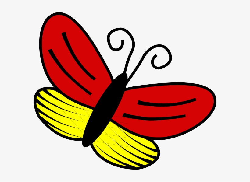 Butterfly Png, transparent png