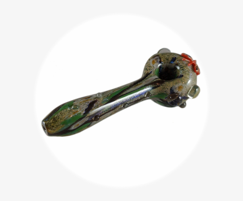 Dsc 1046 2 - Animal, transparent png