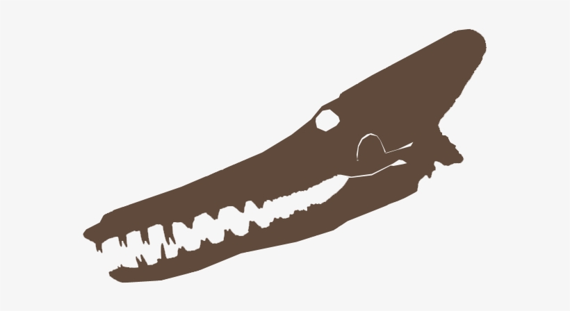 Kutchicetus - Crocodile, transparent png