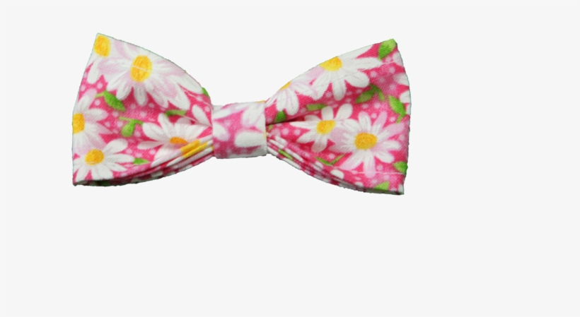 Paisley, transparent png