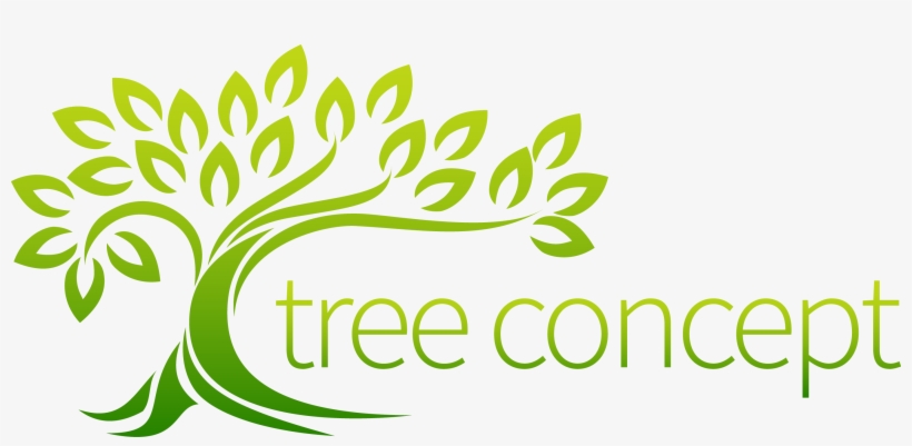 Looking For A Professional, Top Of The Line Tree Service - Ebor Academy Filey, transparent png