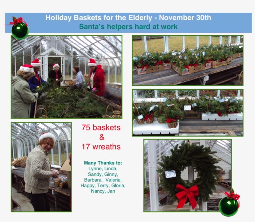 Holiday Pictures For Elderly Copy - Greenhouse, transparent png