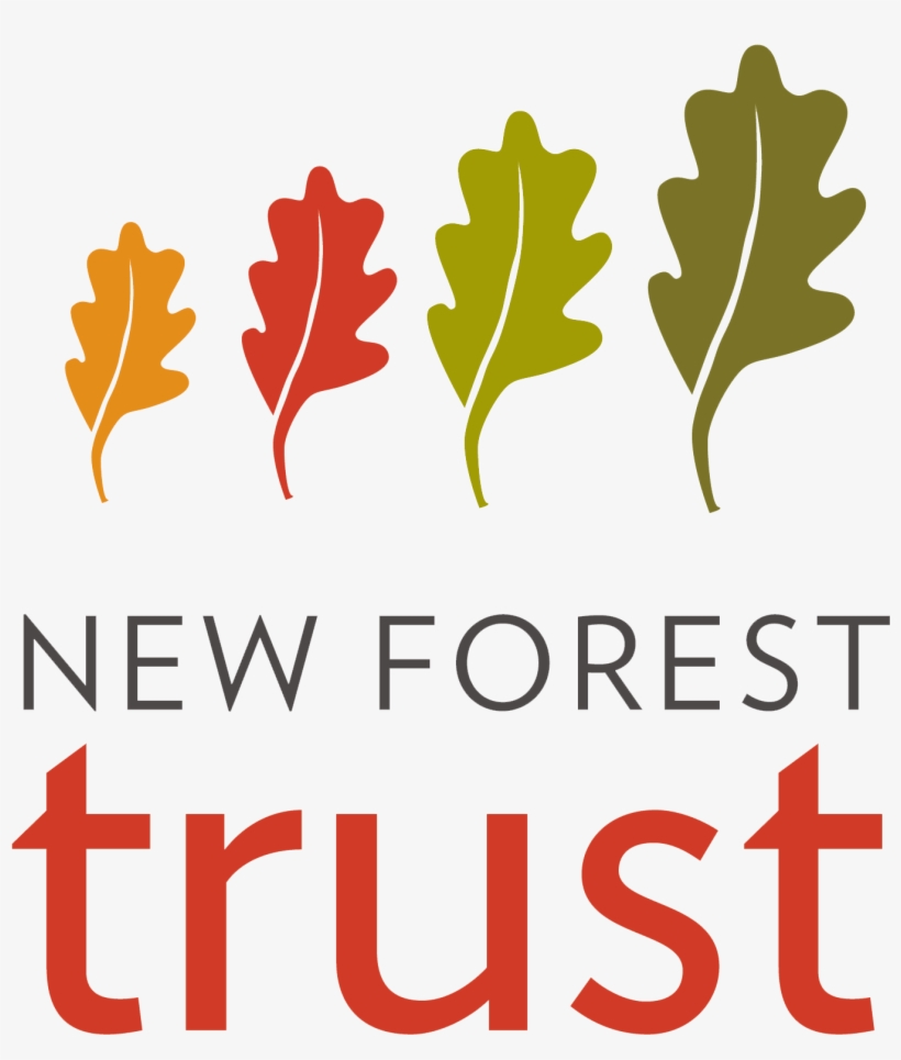 Forest Trust, transparent png