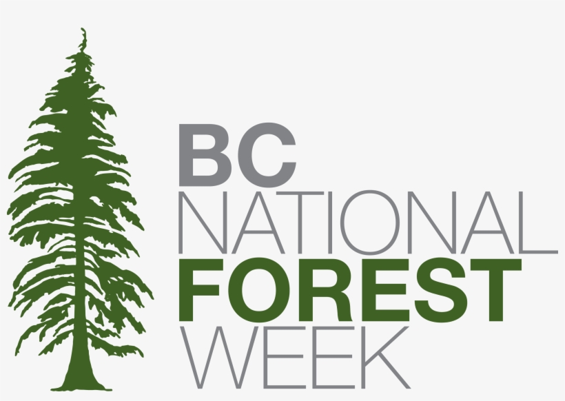 National Forest Week, transparent png