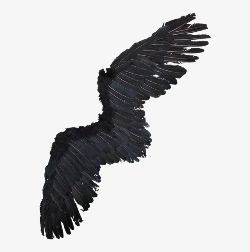 Alas De Aguila Png - Alas De Aguila Disfraz, transparent png
