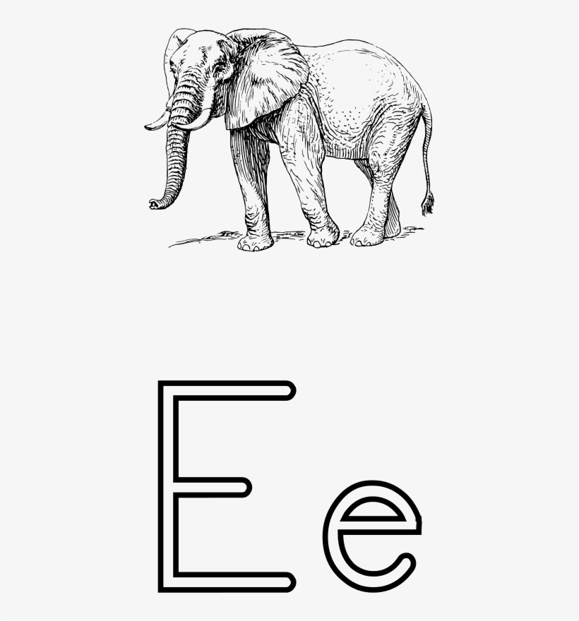 Free Letra E De Elefante - Black And White Elephant Drawing, transparent png