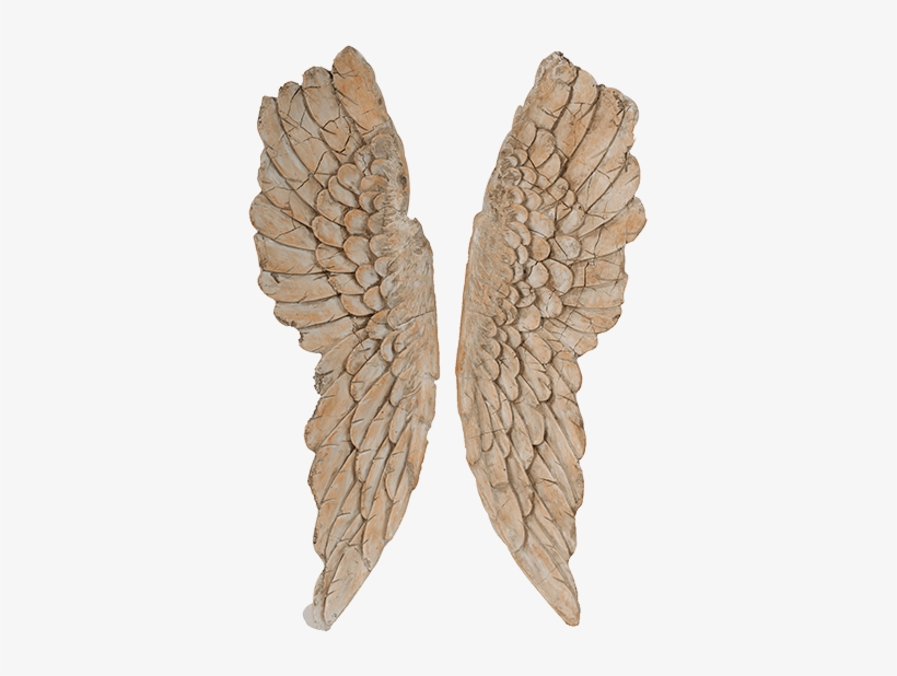 Angel Wings - Decorative Arts, transparent png
