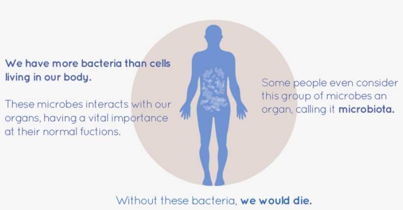 In Our First Time Ever Participating In Igem, Our Project - Diagram, transparent png