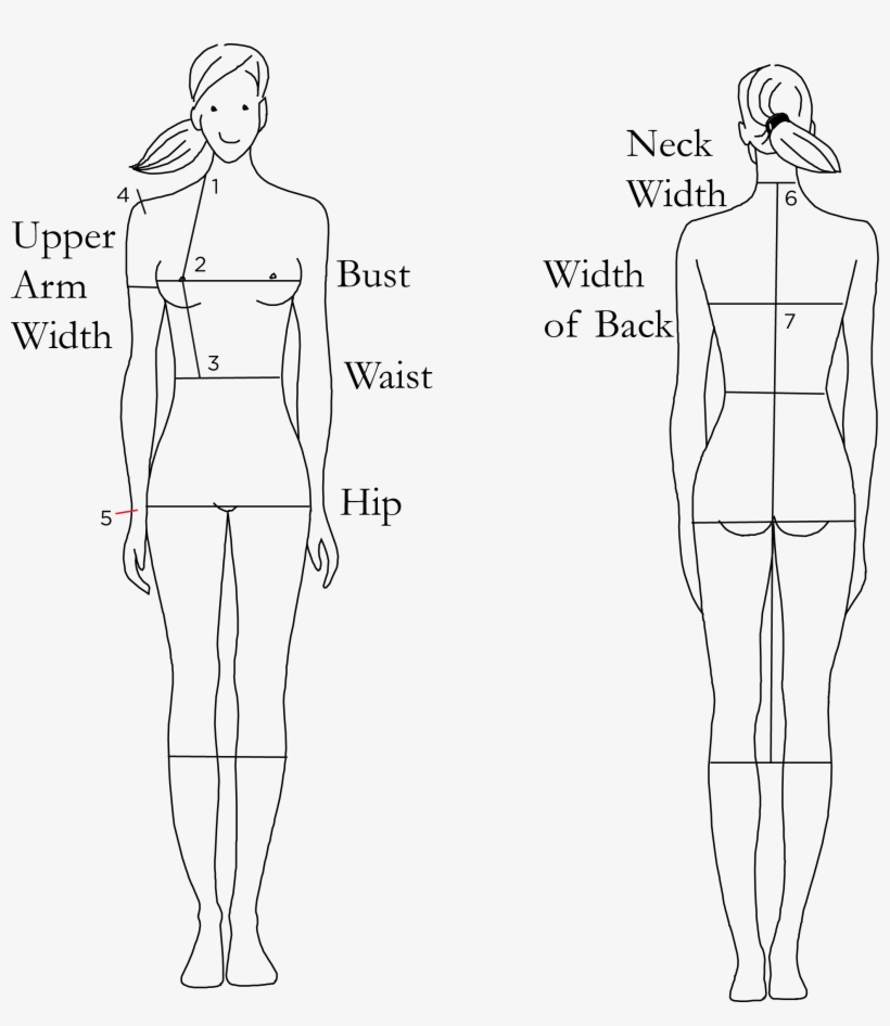 From 1 To - 3 Size, transparent png
