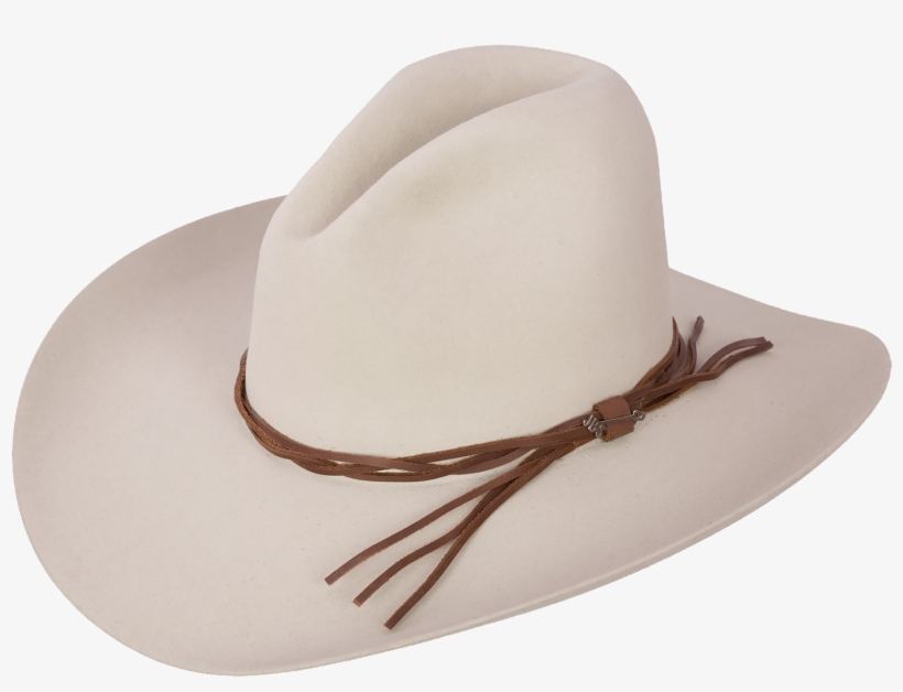 Stetson Gus Regular Oval 6x Beaver Felt Western Hat - Stetson 6x Gus Hat Silverbelly, transparent png