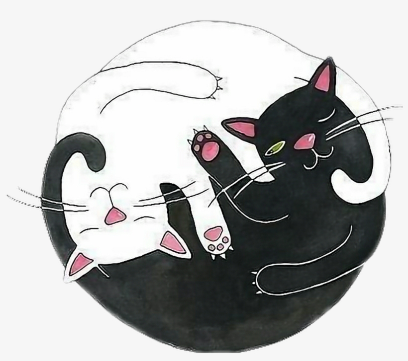 Yingyang Sticker - Overlays Transparent Tumblr Cat, transparent png