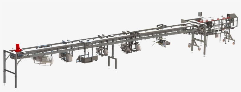 First First - Roller Coaster, transparent png