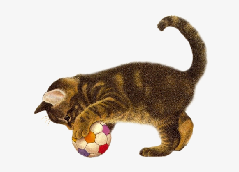 Cães E Gatos Png - Chat Qui Joue Avec Un Ballon, transparent png