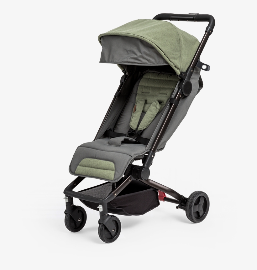 Moss Green - Edwards And Co Otto, transparent png