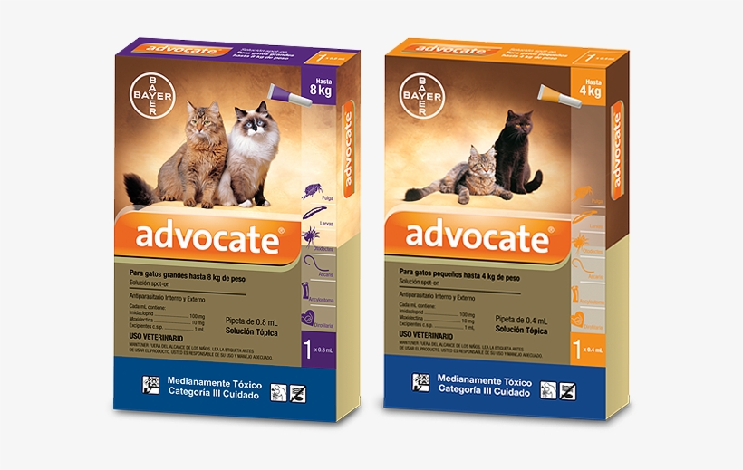 Advocate® Gatos - Pipeta Advocate Gatos, transparent png