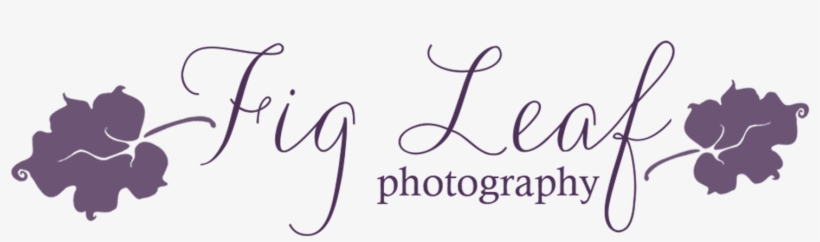 Fig Leaf Photography - Fig Leaf Logo, transparent png