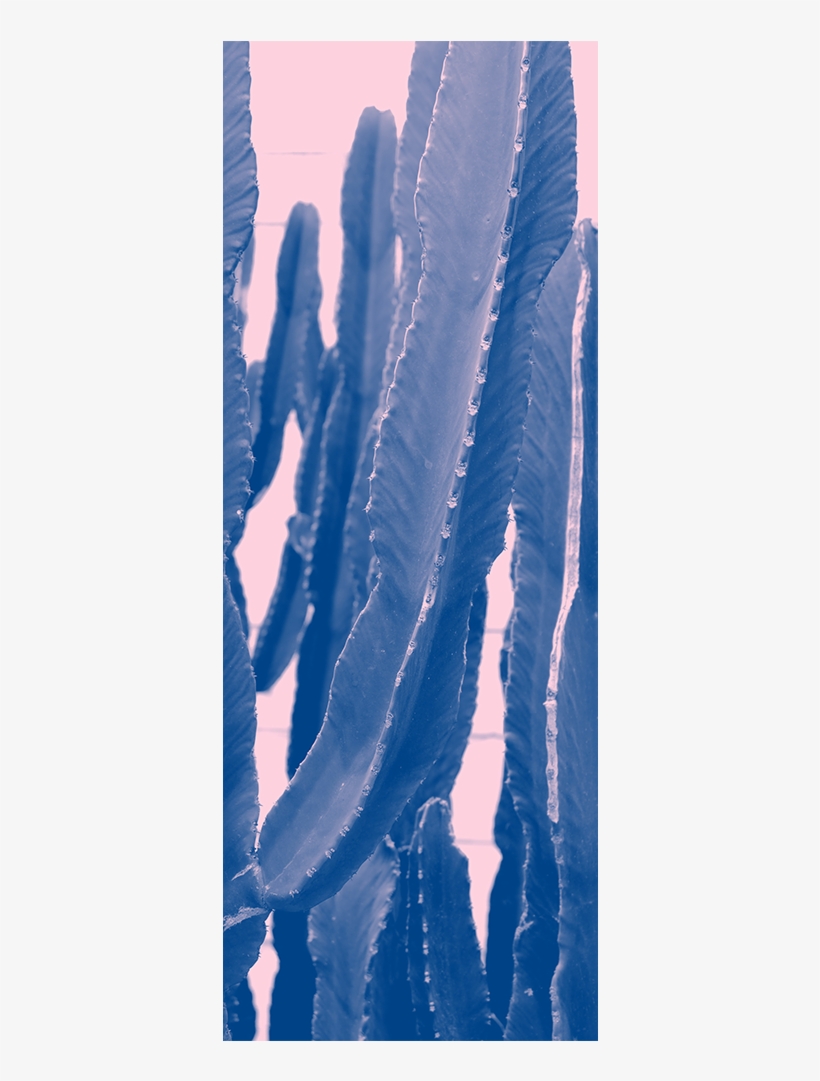 Cactus Art Door Mural Landscapes & Nature Eazywallz - Illustration, transparent png