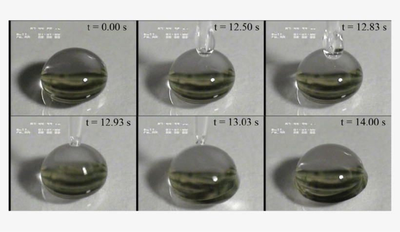 Janus Shape Of A Compound Sessile Drop Formed Using - Shape Of Sessile Drop, transparent png