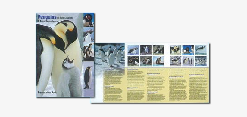 Presentation Pack - King Penguin, transparent png