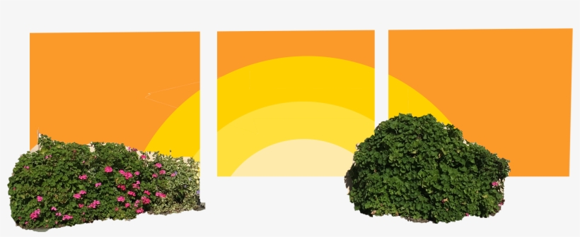 Img 5504a - Wall, transparent png