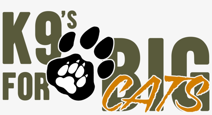 One Of Our Initiatives In Detail - Illustration, transparent png