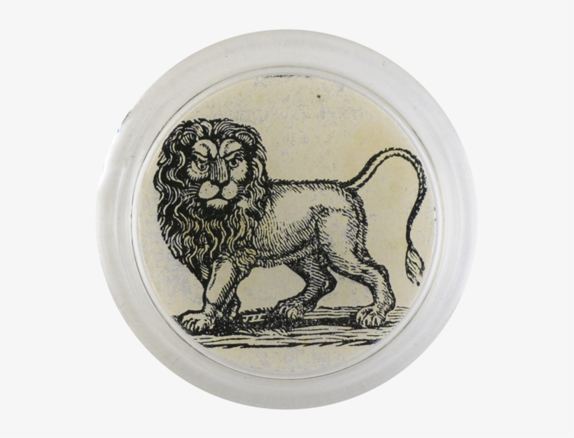 Masai Lion, transparent png