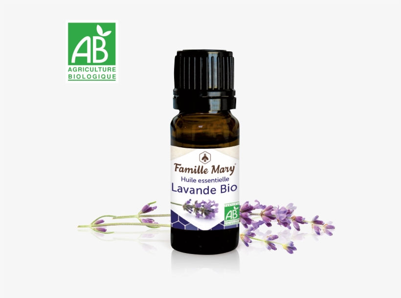 Huile Essentielle Lavande Bio - Essential Oil, transparent png