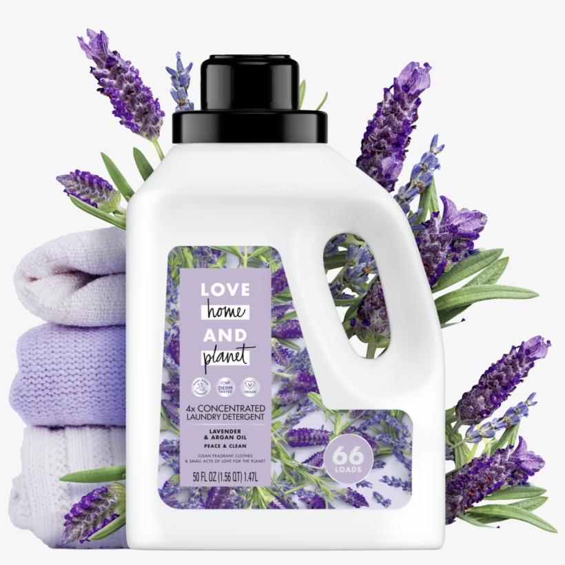 English Lavender, transparent png