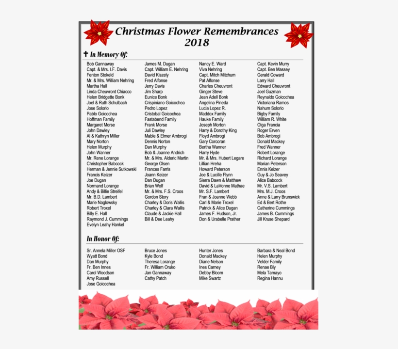 Bougainvillea, transparent png