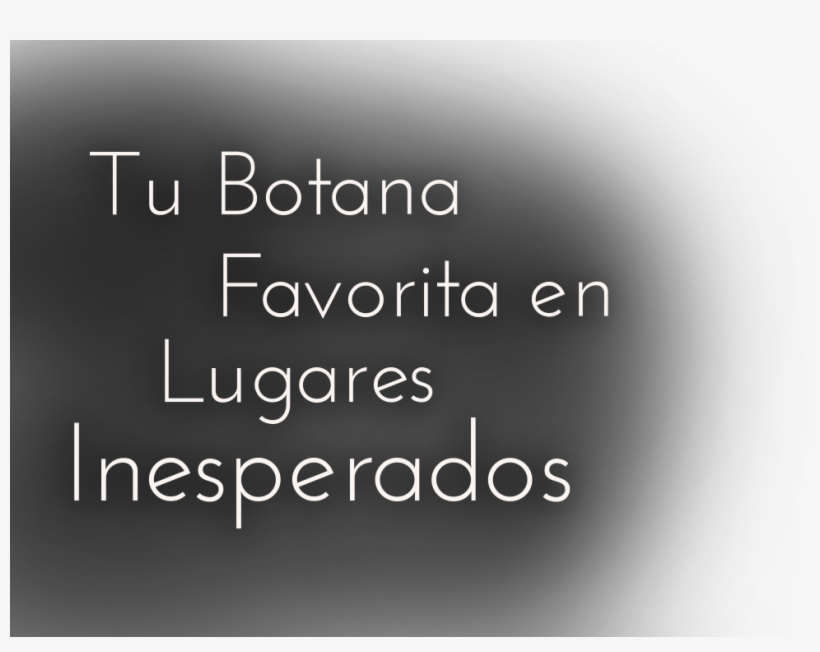 Conoce Todas Nuestras Video Recetas, transparent png