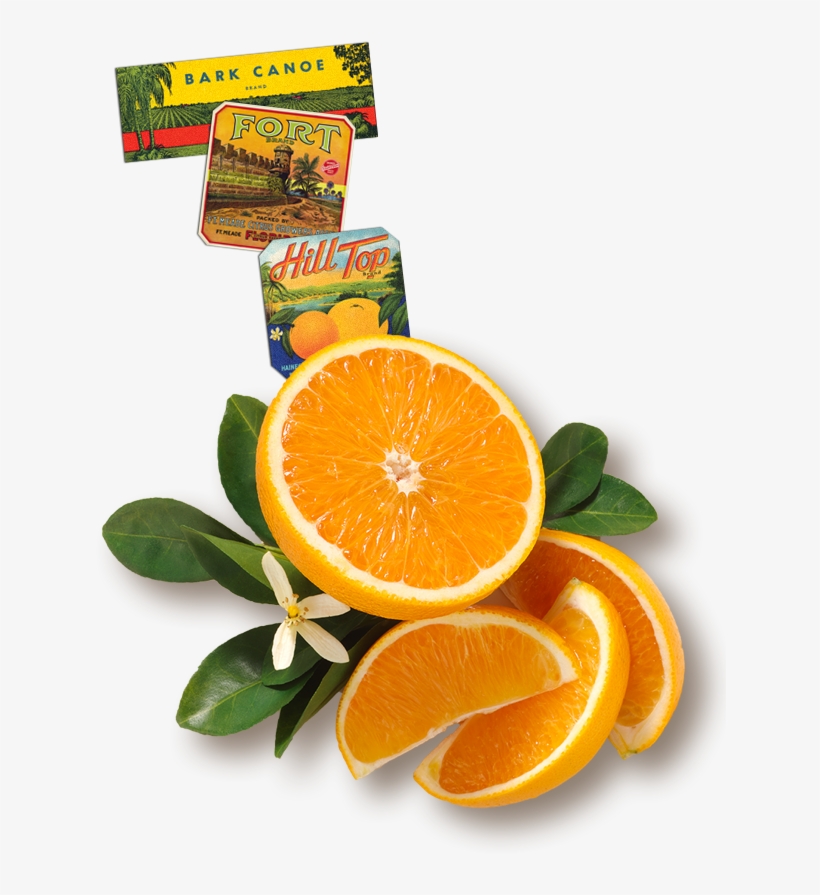 Florida's Natural Orange Juice The Best Orange Juice - Recipe, transparent png