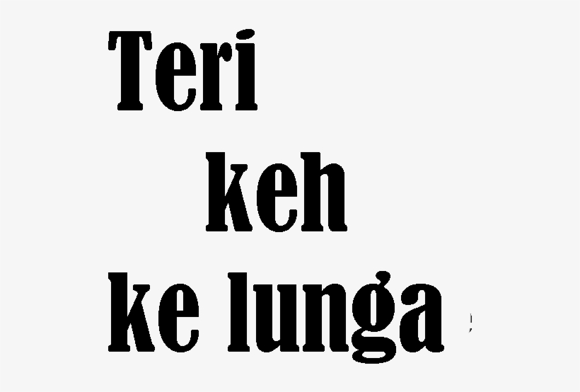 Teri Keh Ke Lunga Text Png - Tumse Na Ho Payega Text Png, transparent png