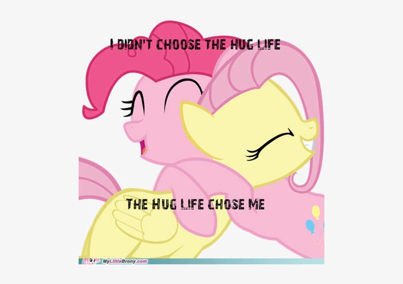 Dion't Choose The Hug Life The Hug Life Chose Me Mylittle - My Little Pony Meme Hug, transparent png