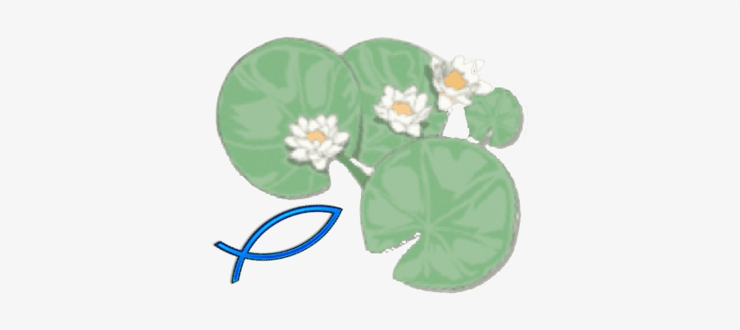 Anthurium, transparent png