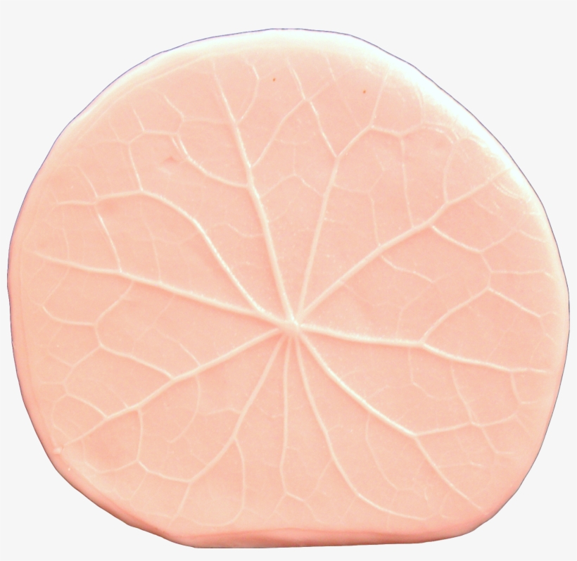 Lily Pad Leaf - Leaf, transparent png