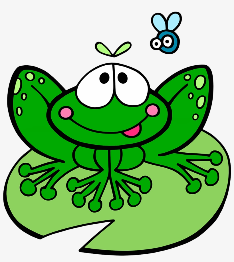 Frog Lily Pad, transparent png