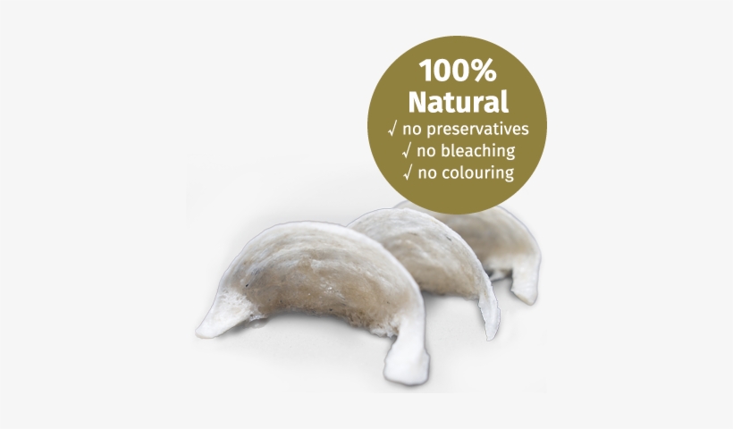 Shop With Confidence - Blue Sky Bird Nest Sdn Bhd, transparent png