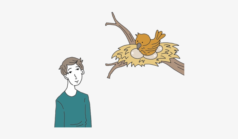 Birds Nest Tea Leaf Dictionary - Bird Nest, transparent png