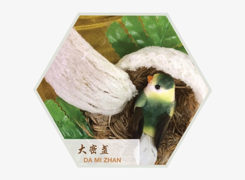Our Quality Product - Parakeet, transparent png