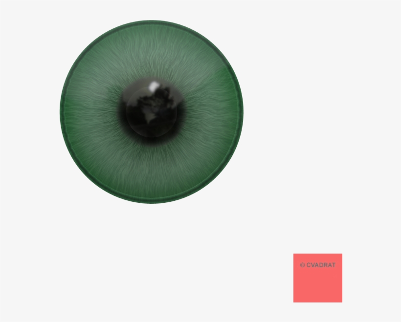 Circle, transparent png