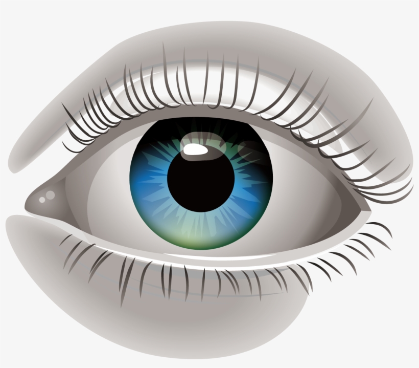 Human Eye Euclidean Vector Clip Art - Ojo Humano Png, transparent png