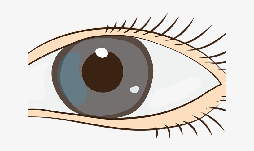 Cap, transparent png