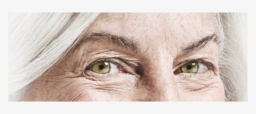 Patient, transparent png