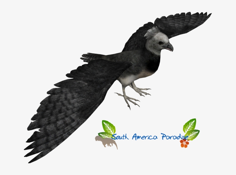 Harpy Eagle - Zoo Tycoon 2 Eagle, transparent png
