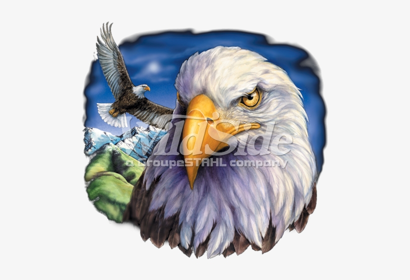 One Eagle Flying & Eagle Head - American Eagle Flag Png, transparent png