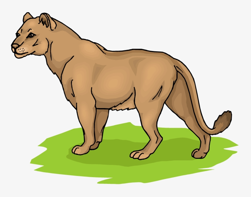 Lion Png Clipart 1045 12 Astrodisco - Lioness Clip Art, transparent png